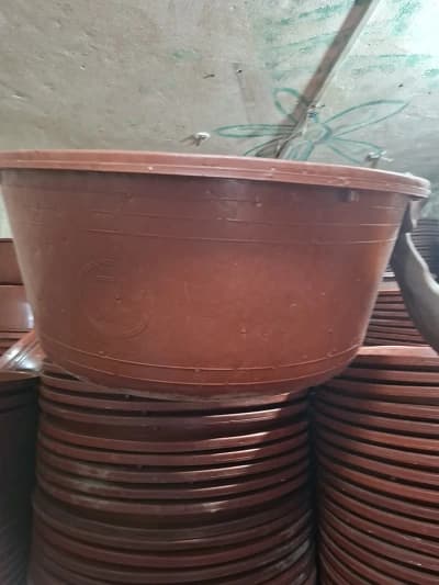 Grande cuvette en plastique marron