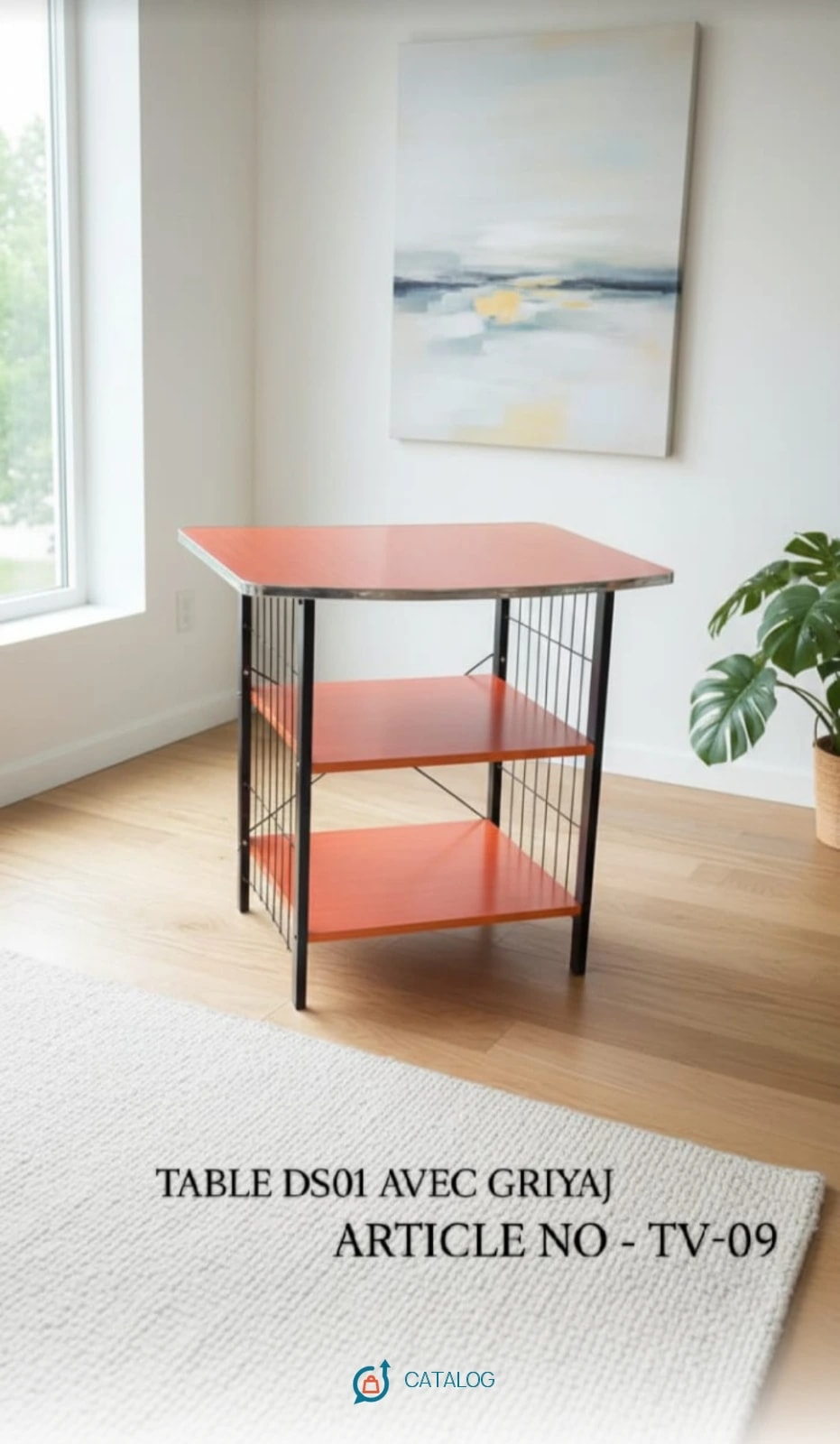 Table DS01 avec grillage TV-09