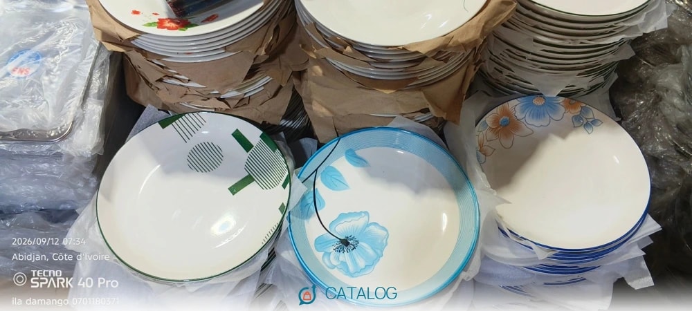 Assiettes en porcelaine décorées