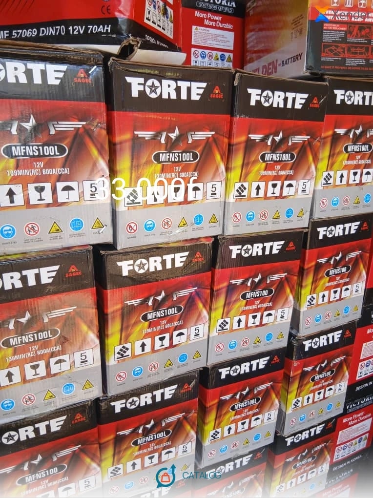 Batterie Forte MFNS100L 12V