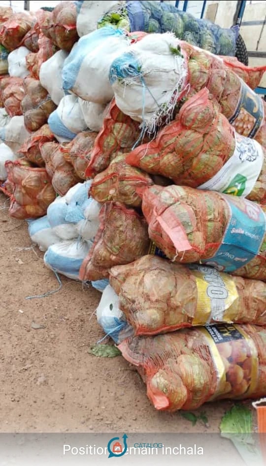 Oignons en sacs