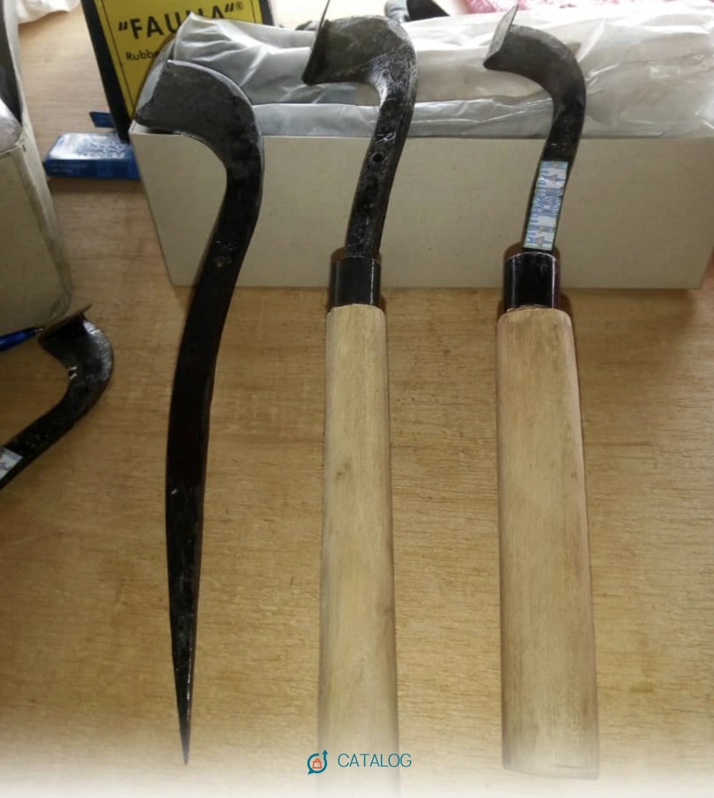 Couteau de saigné hévéa