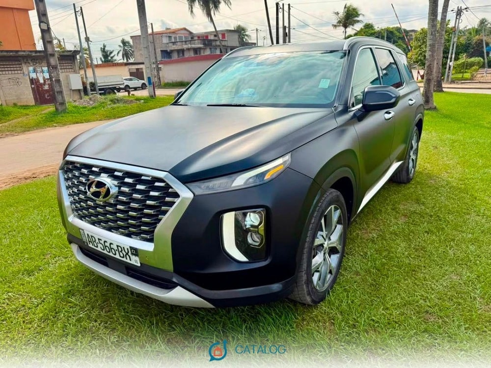 SUV Hyundai gris mat