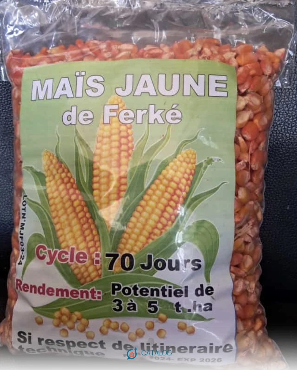 Semence de Maïs 🌽 jaune de ferke