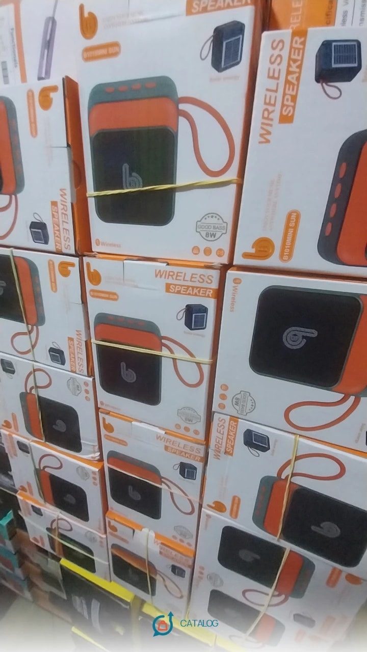 Enceinte sans fil portable