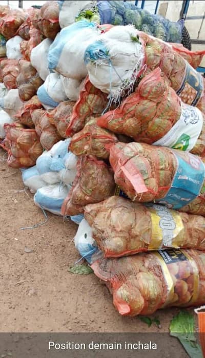 Oignons en sacs