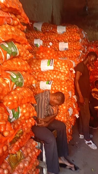 Oignons en sacs
