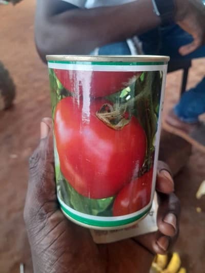 Boîte de tomates cobra 34